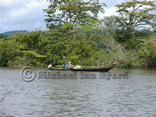 Amazon Native Fishing Canoes
